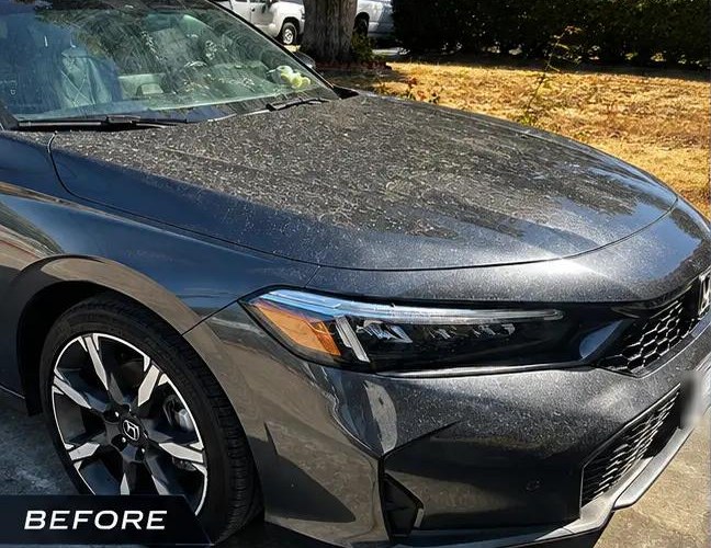 Front of a dark Honda — before