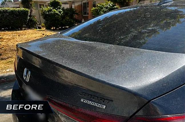 Rear of a dark Honda — before